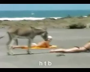 Lustig..4....h. t. b ...