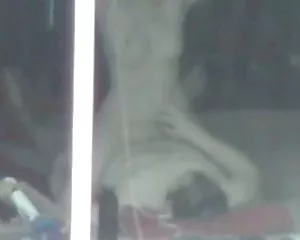 Voyeur fenster sex p ...