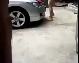 Thai open einfach pr ...