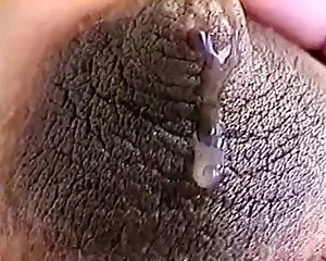 Milchig schwanger la ...