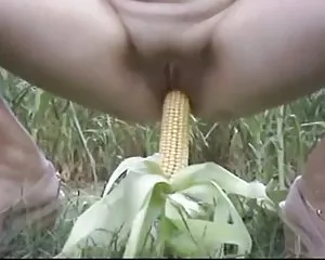 Indien juv roux in e ...