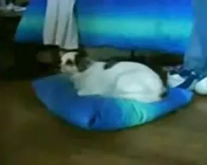 Sex invalide im roll ...