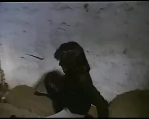 Sex comedy, jahrgang ...