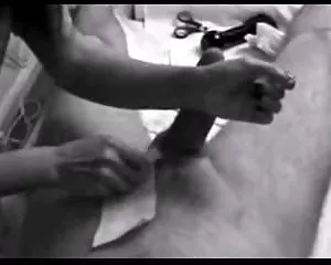 Der männlichen genit ...