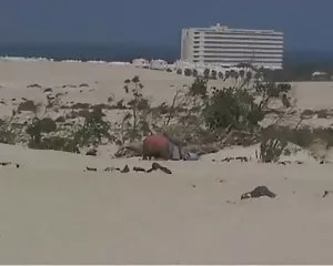 Nichte von mariels u ...